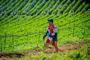 BIB: 2030
                            <button type="button" onclick="openModal(19162796)" class="btn btn-primary btn-sm float-right btn-popup" data-toggle="modal" data-target=".modal-high-quality">
                        <i class="fas fa-shopping-cart"></i> Add to Cart
                    </button>
                                            <button type="button" onclick="isThisMe(19162796, true)" class="btn btn-success btn-sm float-right btn-popup btn-isme hidden" data-toggle="tooltip" data-placement="bottom" title="นี่คือรูปของคุณใช่ไหม คลิกที่นี่เพื่อเอาเข้าอัลบั้ม">
                        <i class="fas fa-plus"></i> Add to album
                    </button>
                    <button type="button" onclick="isThisMe(19162796, false)" class="btn btn-warning btn-sm float-right btn-popup btn-isnotme hidden">
                        <i class="fas fa-ban"></i> Remove from album
                    </button>